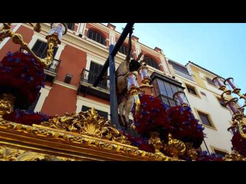 Real, Ilustre y Fervorosa Hermandad Sacramental de la Pura y Limpia Concepción de la Santísima Virgen María, Ánimas Benditas del Purgatorio y Cofradía de Nazarenos del Santísimo Cristo de la Salud, María Santísima del Refugio, Santa Cruz, Nuestra Señora del Patrocinio, Santa Bárbara y San Bernardo