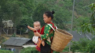 The Real Life of a 17-Year-Old Single Mother & Harvesting Wild Bamboo Shoots | Ly Tieu Ca by Ly Tieu Ca  347,476 views 1 month ago 25 minutes