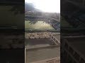 انصار اتحاد البليدة إنشاء الله ياربي سياسي شابيوني ندوها دراع