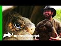 "The Greatest Galapagos Discovery In Over 100 Years!" | Extinct or Alive?