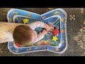 Tummy time mat for baby's development review