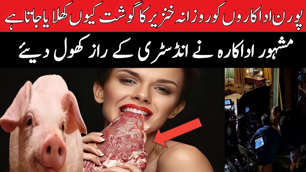 Why Pork Is Haram In Islam | Khanzeer Ka Gosht Aur Porn Actresses | Islamic  Stories In Urdu - YouTube