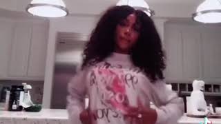 SZA previews new song on her TikTok debut