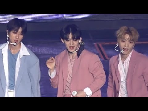 190309 세븐틴 팬미팅 캐럿랜드 (SEVENTEEN IN CARATLAND) 우새낮뜨 - 에스쿱스 직캠 (S.COUPS FOCUS)