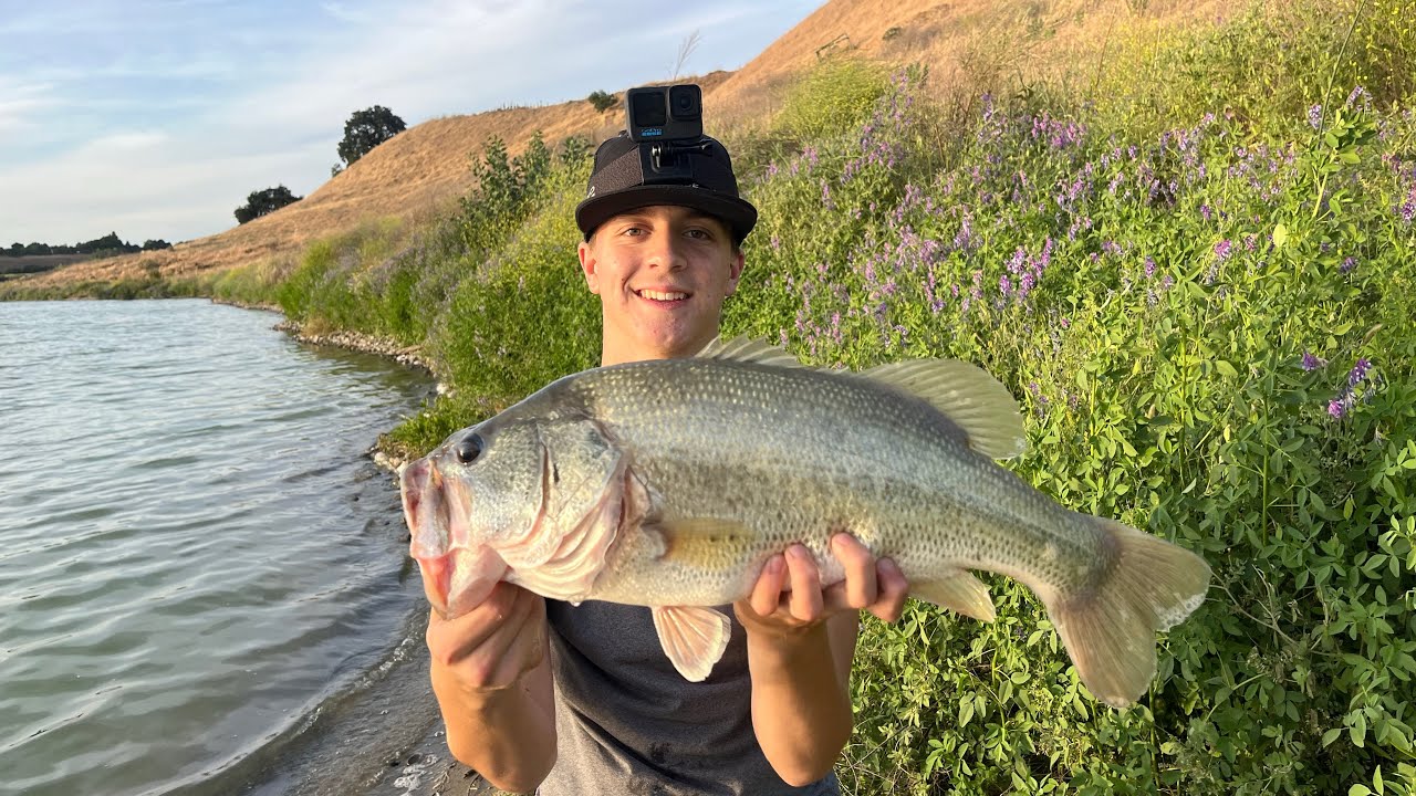 Fishing a PRIVATE pond for BIG bass