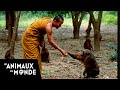 Le moine et le singe - Fous d'animaux