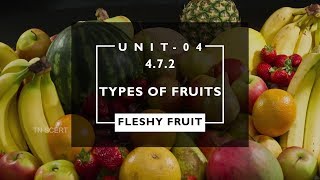 Botany Video Lesson - Types of FRUITS 4.7.2 English Botany Video Lesson - Types of FRUITS 4.7.2 English