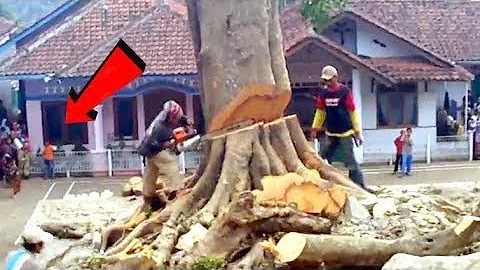 Tree Cutting Fails Compilation And Idiots With Chainsaw ! Dangerous skills Tree Falling #17