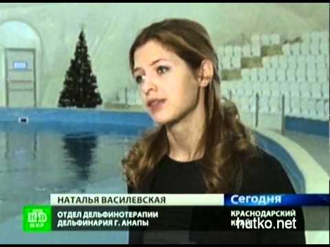Видеоролик: Лечение в дельфинарии