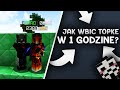 [DRAGON-SURVIVAL.EU] - JAK WBIĆ TOPKĘ W 1H || TEPARKI || TOPKA ||