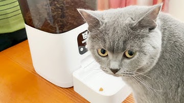 WOpet Boost II Automatic Cat & Dog Feeder video review.