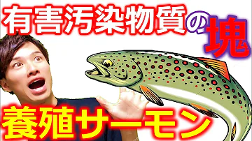 養殖サーモンの知られざる危険性 自然療法士 ルイ Mp3 養殖サーモンの知られざる危険性 自然療法士 ルイ Mp3