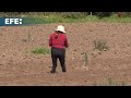 800 pequeños agricultores de Ecuador aumentarán sus ingresos con una iniciativa lanzada por EE.UU.