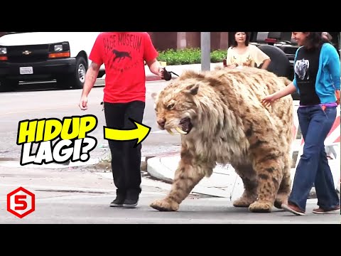 Video: Adalah Mungkin Untuk Menghidupkan Kembali Raksasa Dan Harimau Tasmania Dalam 20 Tahun - Pandangan Alternatif