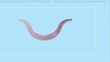 C. elegans body model: omega turn posture formation