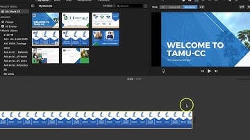 From Canva to iMovie