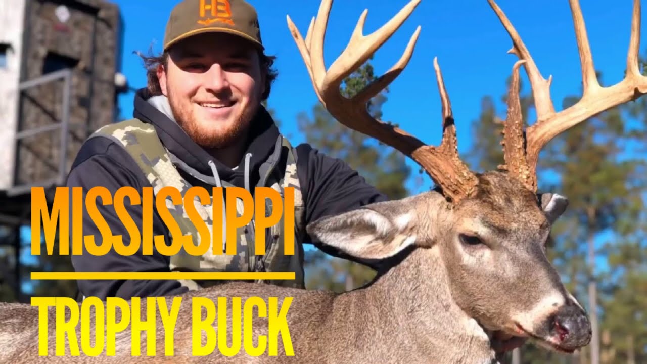 Mississippi Whitetail Trophy at Hollis Farms YouTube
