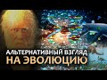 Альтернативный взгляд на эволюцию. Эволюция ТЕОРИИ ЭВОЛЮЦИИ.