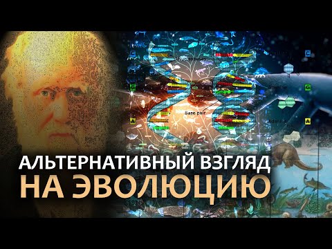Video: Miti O Evoluciji - Alternativni Pogled