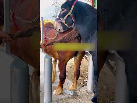 𝙱𝚎 𝚠𝚑𝚘 𝚢𝚘𝚞 𝚠𝚊𝚗𝚝 𝚝𝚘 𝚋𝚎 𝚊𝚗𝚍 𝚗𝚘𝚝 𝚠𝚑𝚊𝚝 𝚘𝚝𝚑𝚎𝚛𝚜 𝚠𝚊𝚗𝚝 𝚝𝚘 𝚜𝚎𝚎