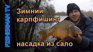 Зимний карпфишинг насадка из сало