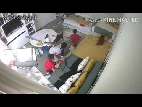 أطفال ينجون بأعجوبة من حادث بيروت لبنان