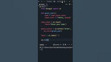 Build a Web App with Python in 60 Seconds! | NiceGUI Tutorial #python