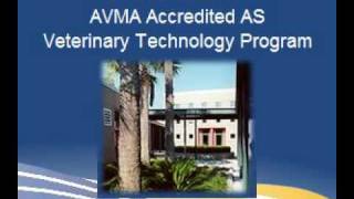 HCC Veterinary Technician Promo Video