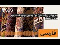 جام جهانی روزانه: مکزیک و کرهجنوبی در روز افتتاحیه به پیروزی رسیدند | SBS Persian - اس بی اس فارسی