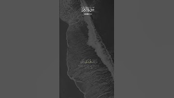 #القرآن_الكريم #سورة_الزمر #الشيخ_ماهر_المعيقلي #اكسبلور #fypyoutube #fypforyou #fypシ゚viral #fypシ゚