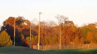 20181110 163312 - They get rough - to End Of Game