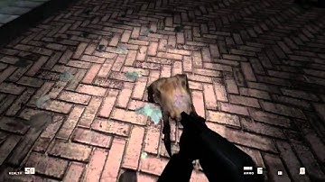 HL2 mod 1187 playthrough w/ commentary part 2