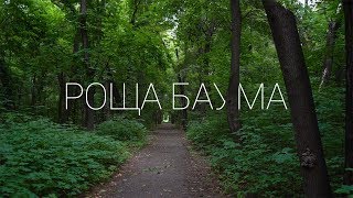 Роща Баума, Алматы | Опасное место или обязательно к посещению?