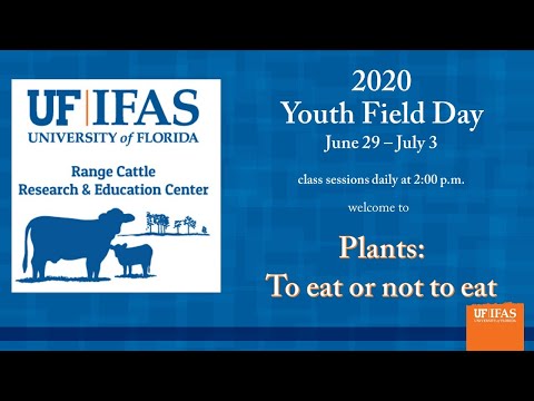 Plants: To eat or not to eat? RCREC 2020 Youth Field Day