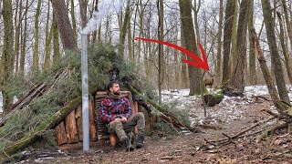 Building My Bushcraft Hideout to Live Alone | Wooden Logs Shelter with Stove and Chimney