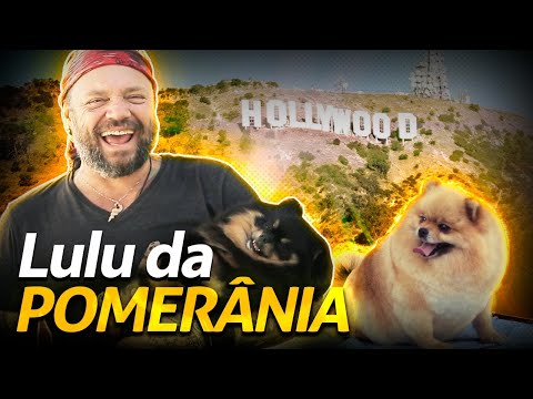 LULU DA POMERÂNIA, O PET DAS ESTRELAS! | RICHARD RASMUSSEN