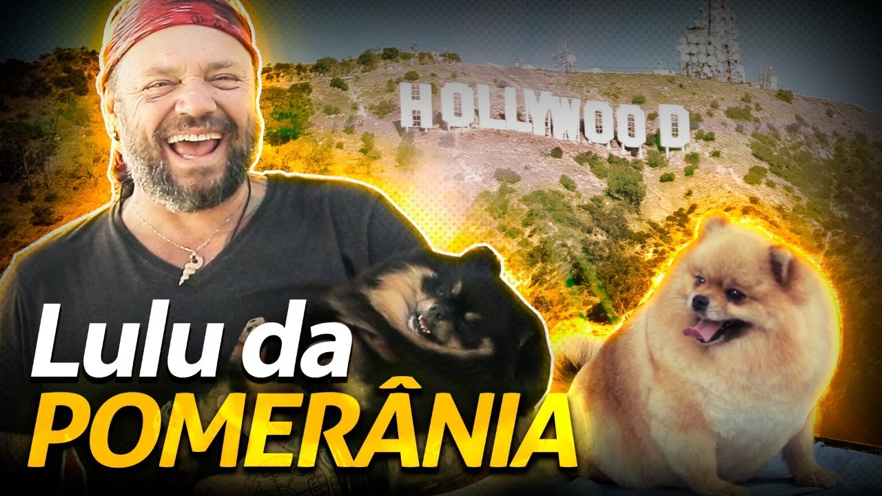 LULU DA POMERÂNIA, O PET DAS ESTRELAS!