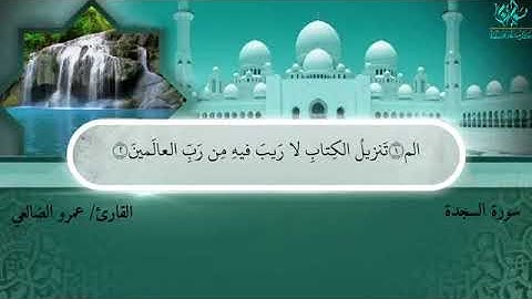 سورة السجدة / بصوت الشيخ عمرو الضالعي حفظه الله