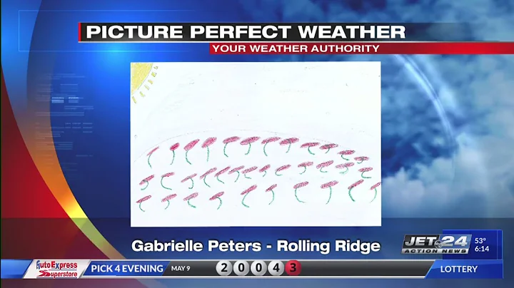 Picture Perfect Weather- Gabrielle Peters