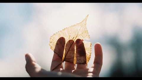 Count To Five& Promise Me [数到五答应我] - Allen [伦桑]