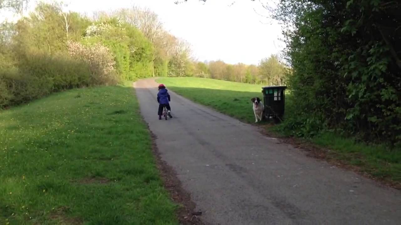 Balance bike racing YouTube