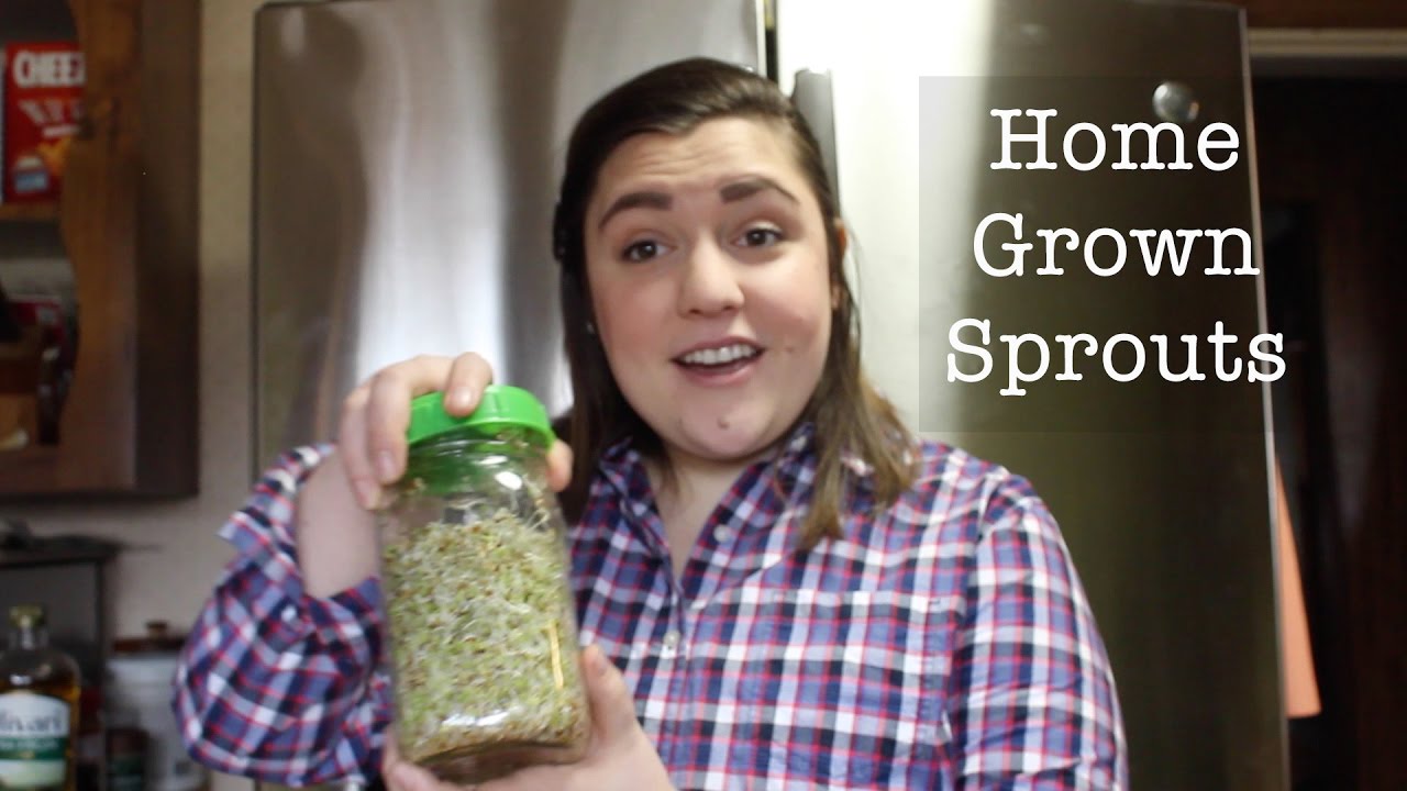 Grow Your Own Sprouts Mason Jar Hacks YouTube