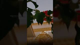 اميري حُسين نعم الأمير ? - ضريح الامام الحسين ؏ - ستوريات حسينيه z