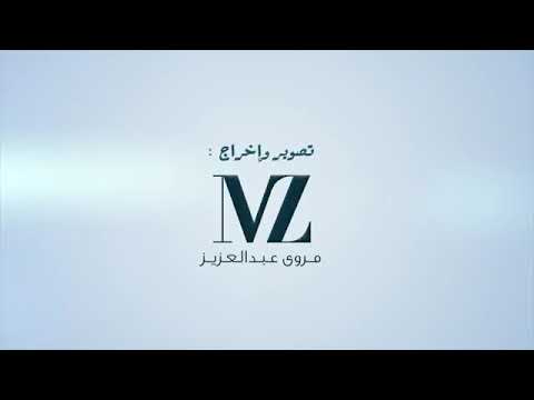 طائر النورس