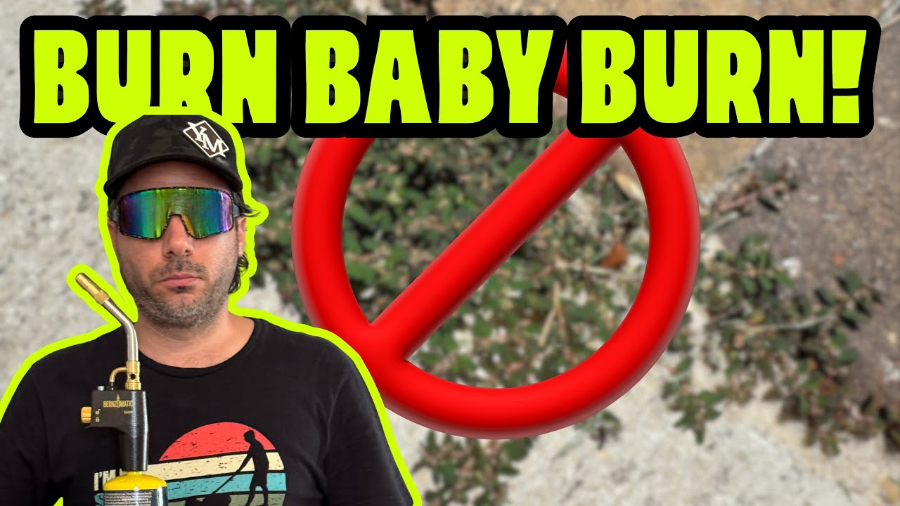 Goodbye Crack Grass!🔥 Burning Weeds from Pavers & Sidewalk Edges