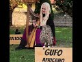 🦉LEVONE 1474: PANCRAZIO THE OWL🦉 #levone #celticharp #gufo