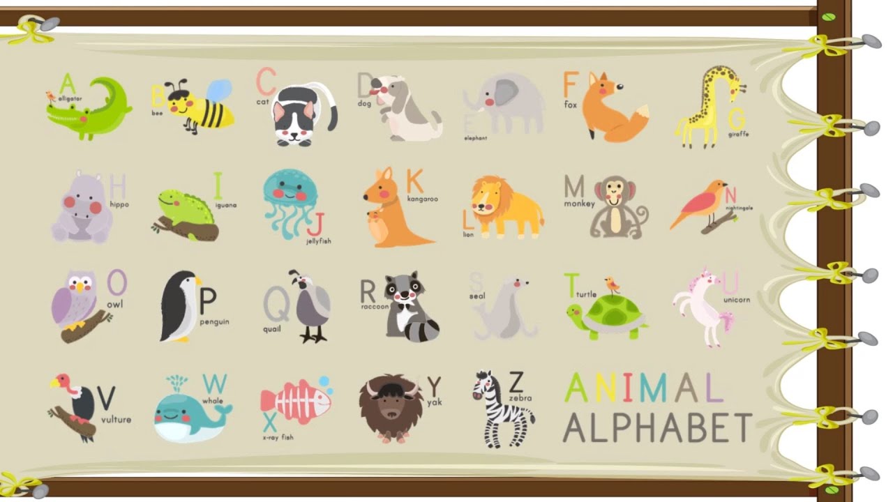 Learn Animal Names with Kids Spark | PreSchool Learning | Circle Time