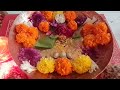 SRICAKRA PUJA DONE ON VENUS &amp; MERCURY HORA ON FRIDAY | ENERGIZE YOURSELF BY JUST LOOKING AT IT