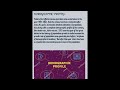 Class 12th indian economic development chapter 1  