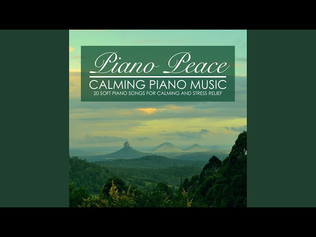 Piano Peace - Into the Woods